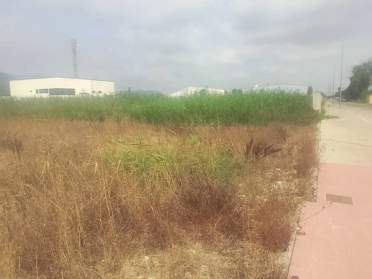Industrial land for sale in Calle Estacio