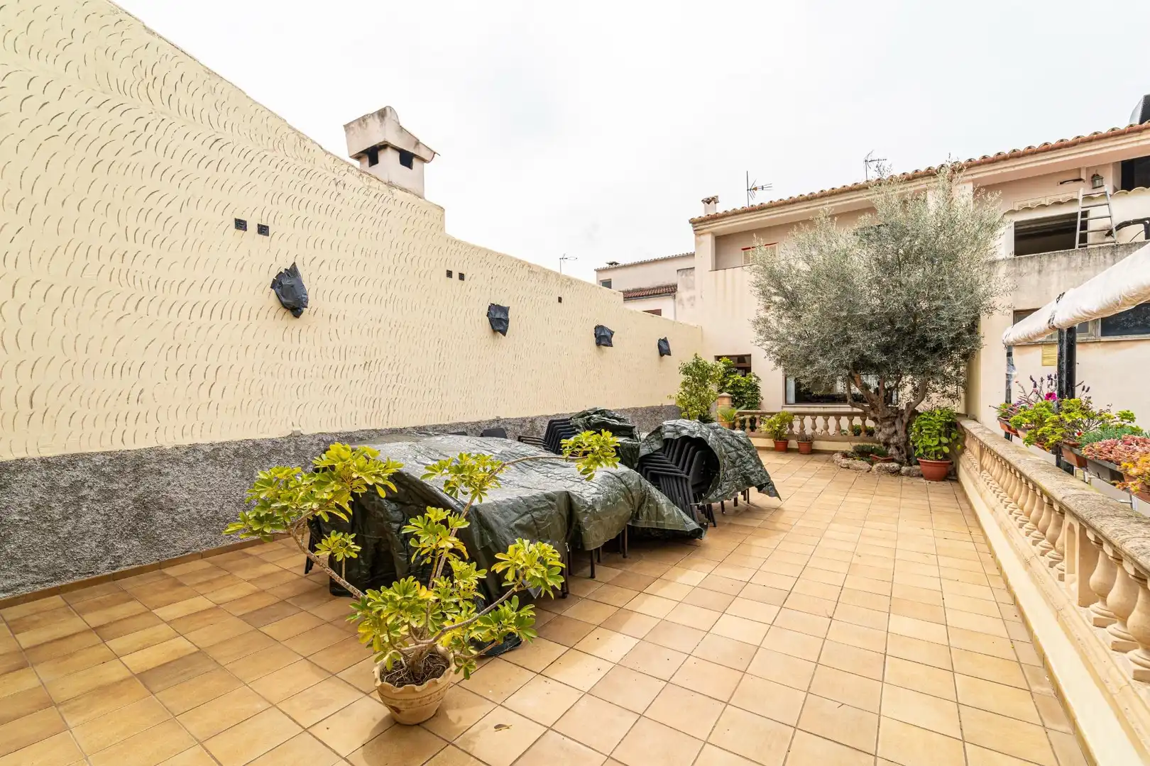 Local comercial en traspaso en Maria de la Salut, imagen 24