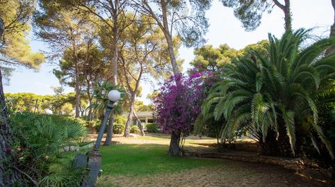Foto 2 de Casa o chalet en venta en Roda de Berà, Tarragona