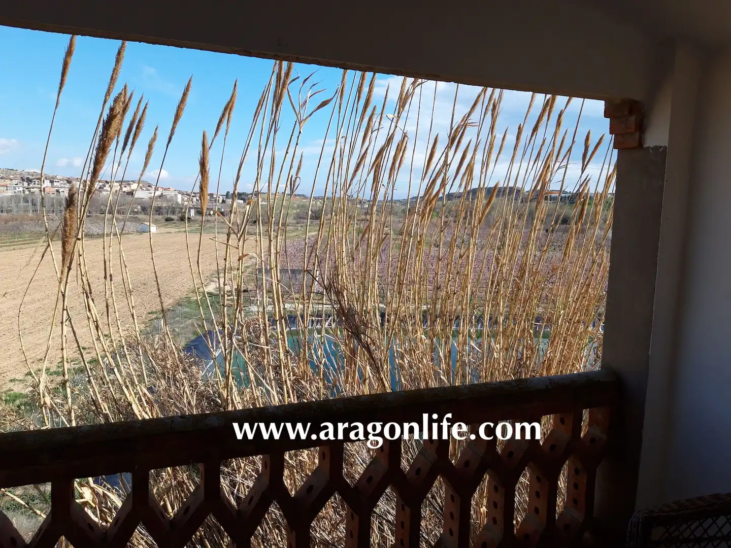 Jardín de Casa o chalet en venta en Fabara