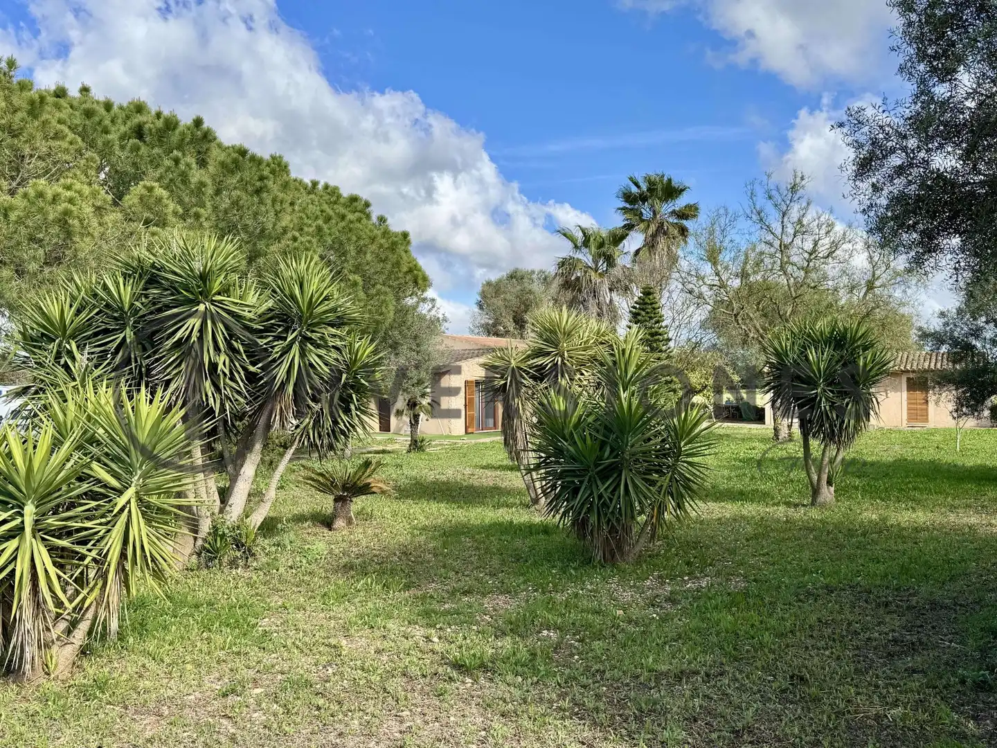 Casa rústica con jardín en venta en Son Munda, imagen 38