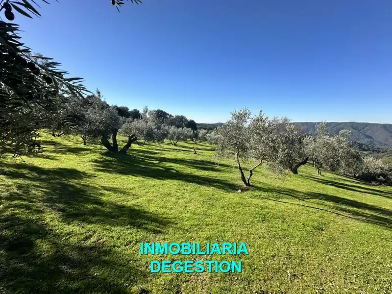 Terreni e lotti in vendita a Andújar, imagen 28
