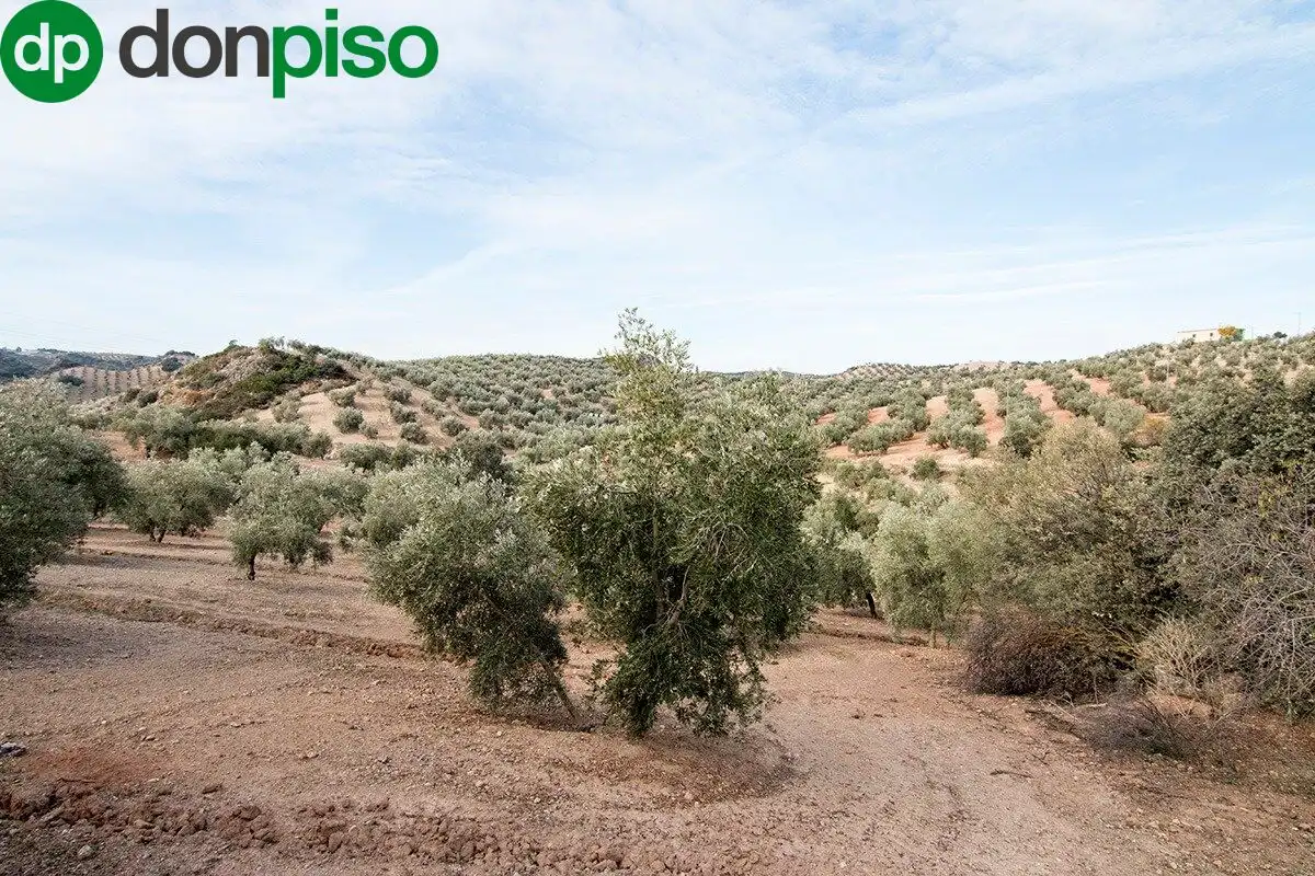 Casa rústica en venda a CORTIJO LA BARRAGANA, imagen 27