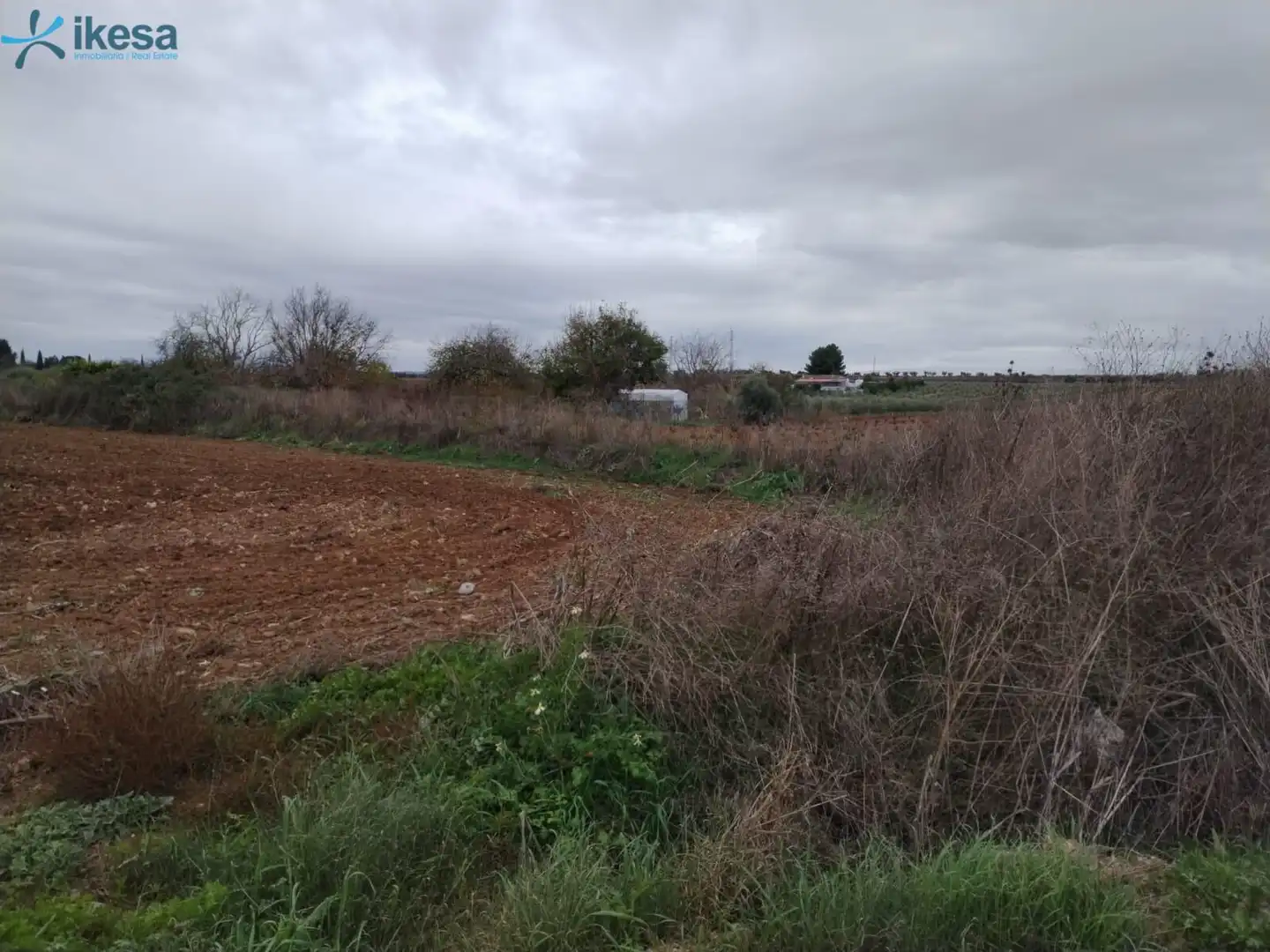 Terreni e lotti in vendita a Villalba de los Barros, imagen 3