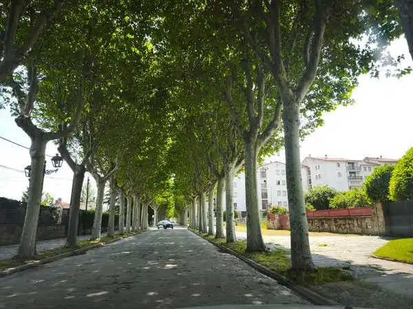 Vista exterior de Dúplex en venta en El Espinar con Aire acondicionado, Calefacción y Jardín privado