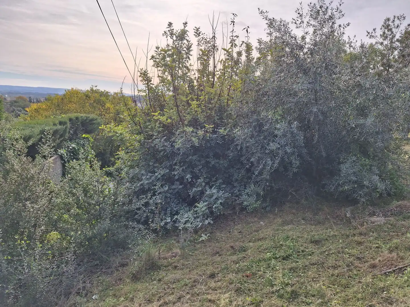 Terrenos y solares en venta en Alcover, imagen 4
