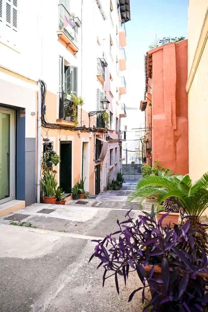 Vista exterior de Planta baja en venta en  Palma de Mallorca