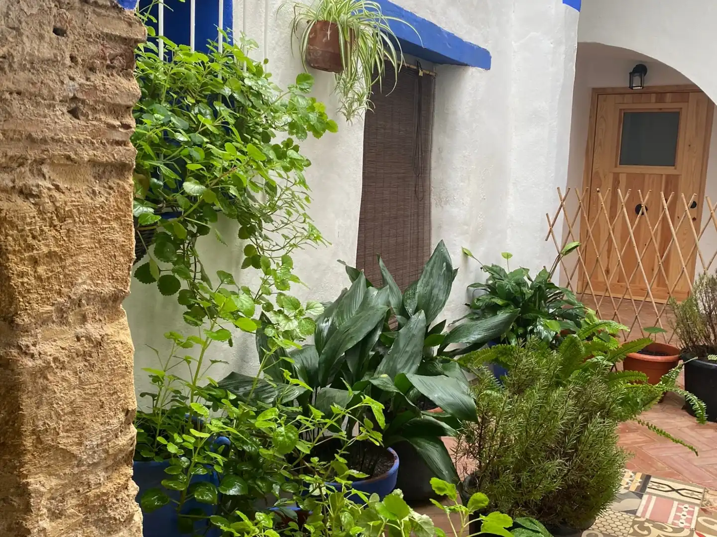 Maison avec terrasse à vendre à Vejer, imagen 3