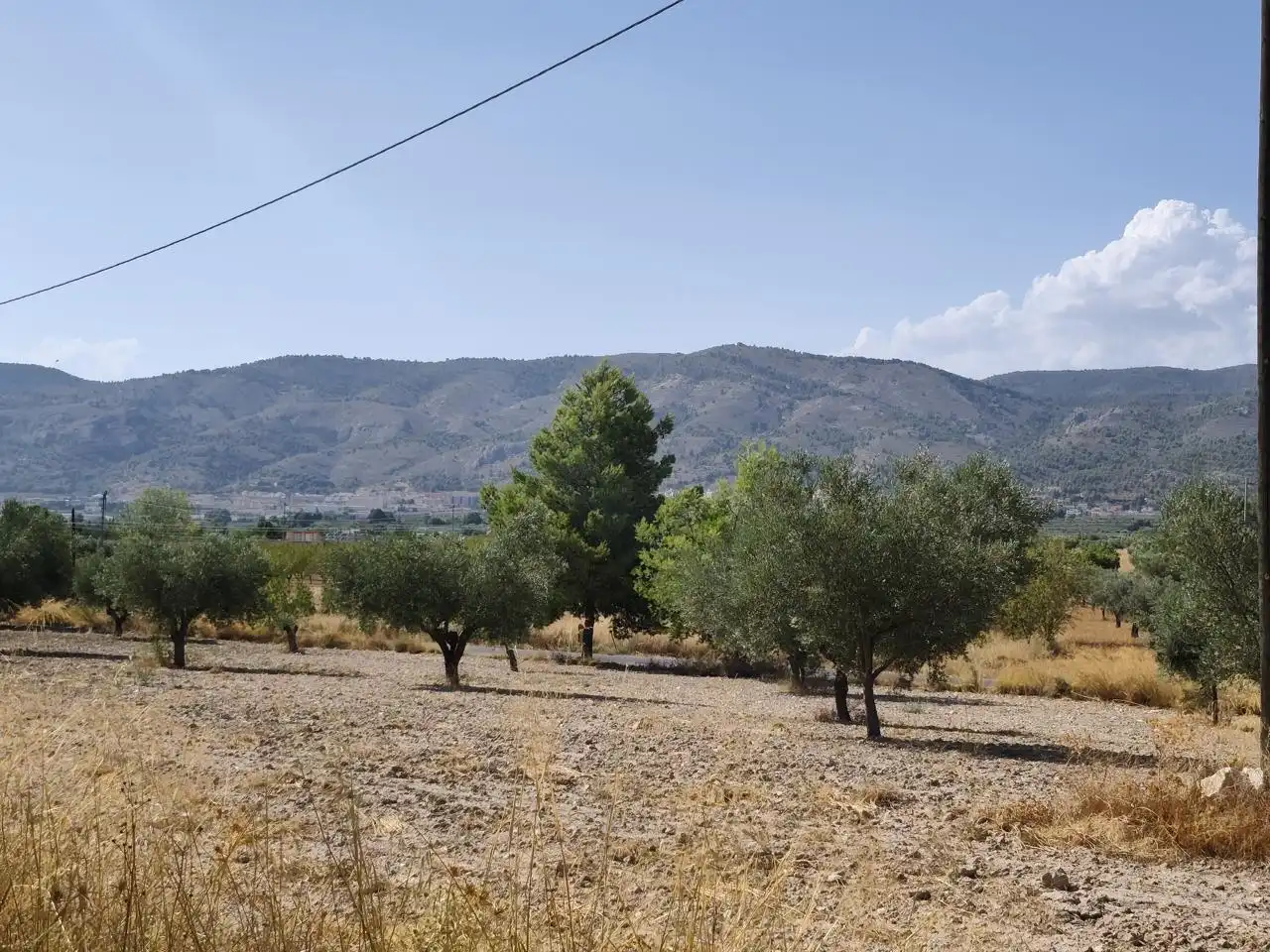 Terreno rustico in vendita a Castalla, imagen 6