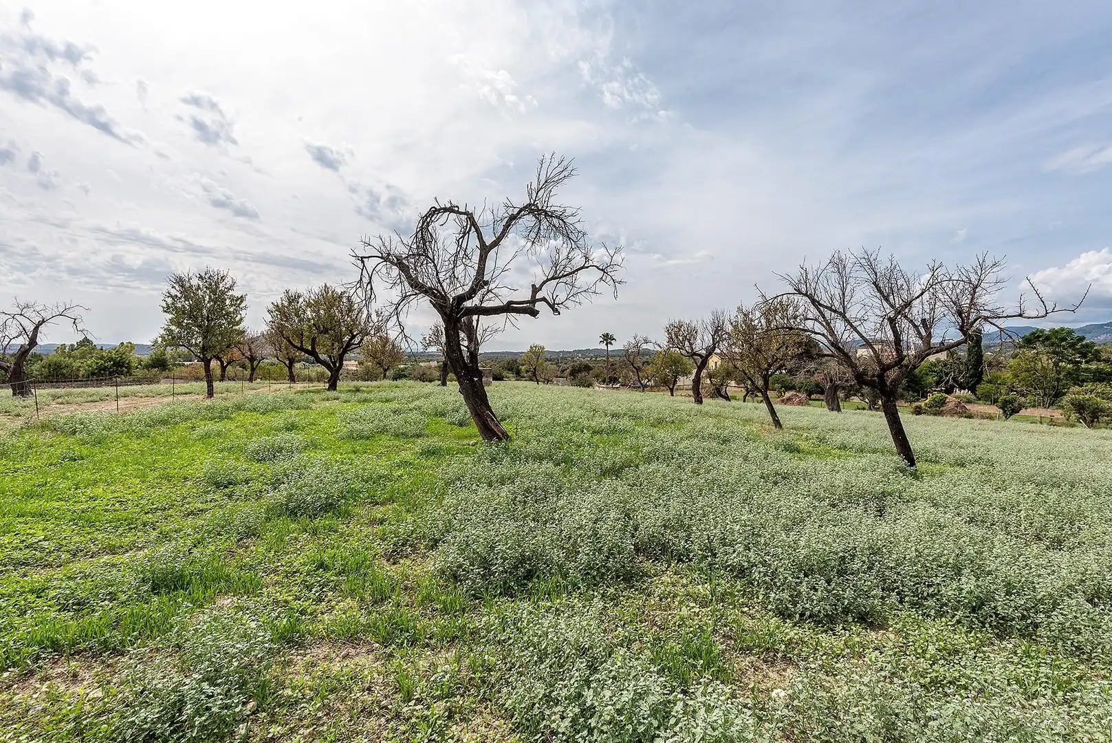 Country homes for sale in Campanet  with Private garden