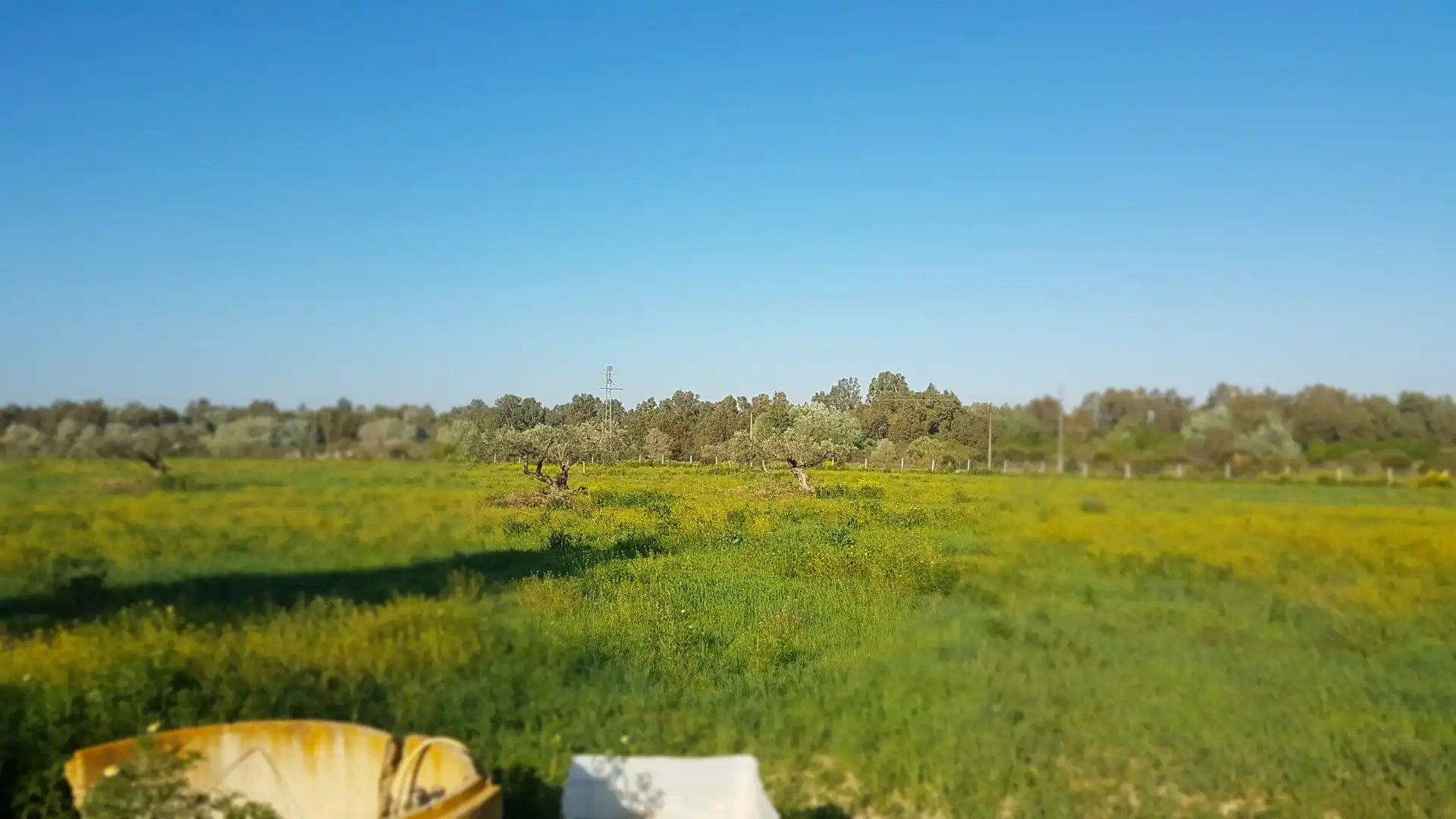 Terreni e lotti in vendita a Sanlúcar la Mayor, imagen 14
