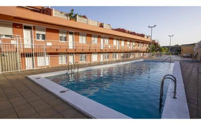 Swimming pool of Apartment to rent in Candelaria  with Swimming Pool