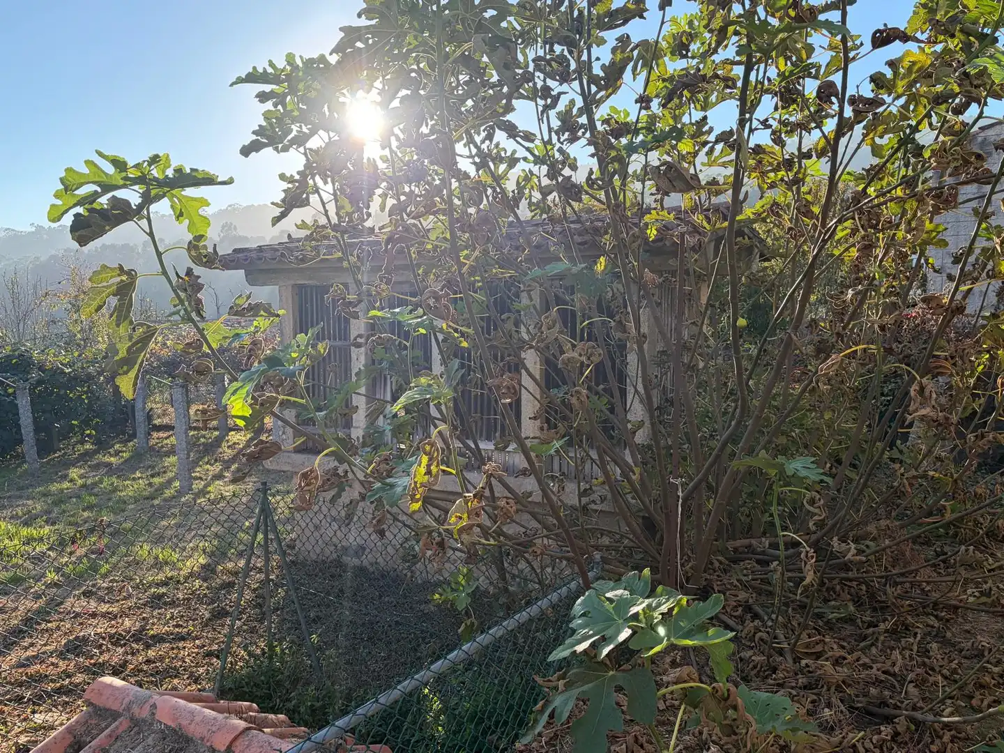 Villa con giardino in vendita a O Rosal, imagen 72