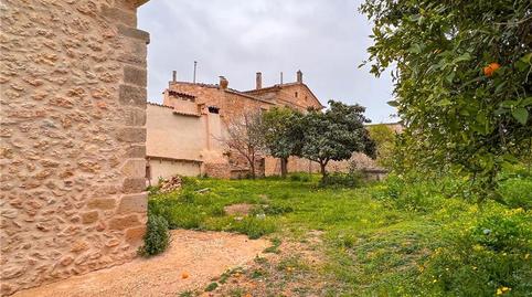 Photo 3 of House or chalet for sale in Zona los Colegios, Illes Balears