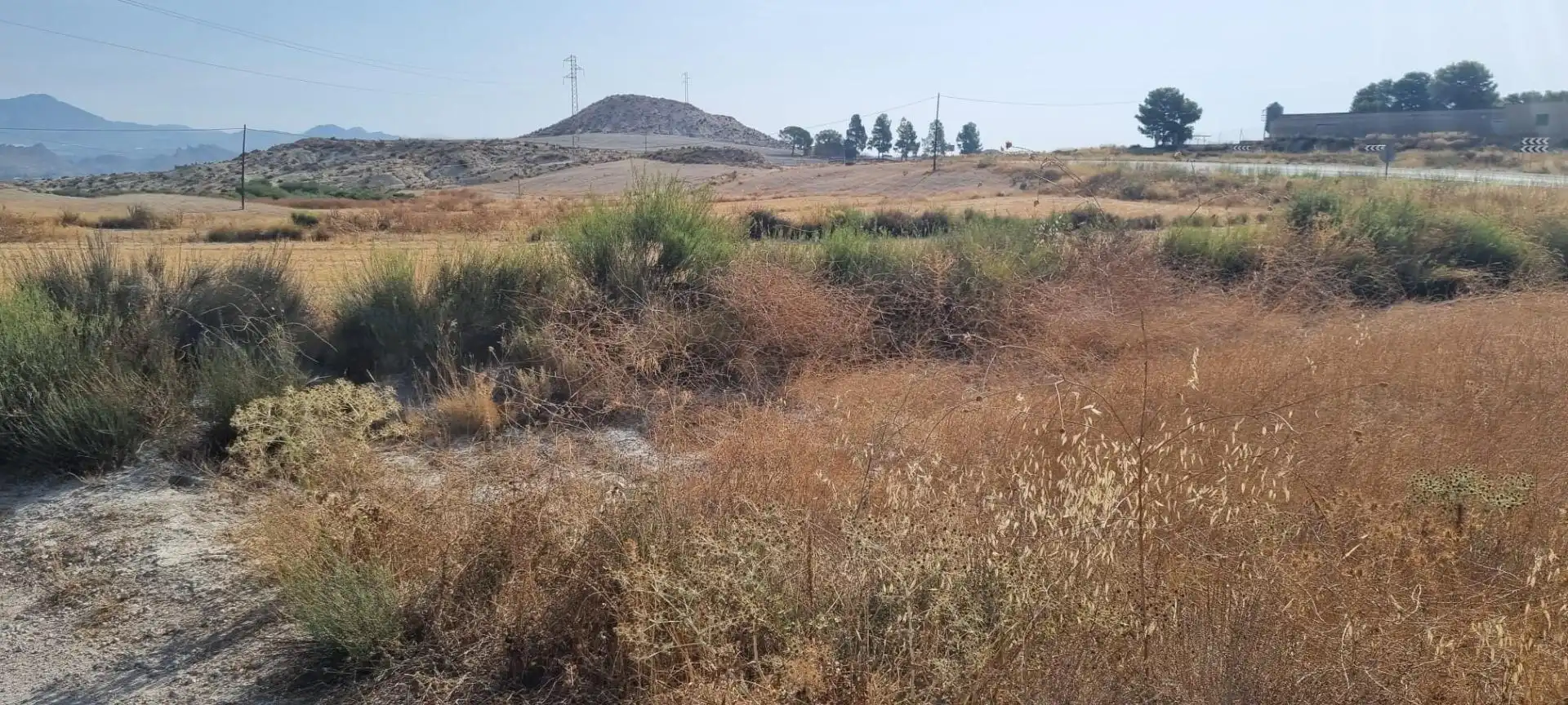 Lands and plots for sale in Mula, imagen 6
