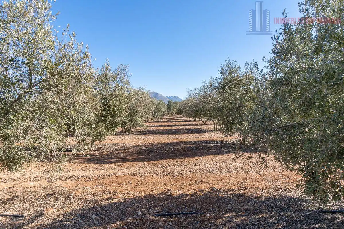 Terreni e lotti in vendita a Pago cortijo de las Monjas Parcela 19, imagen 23