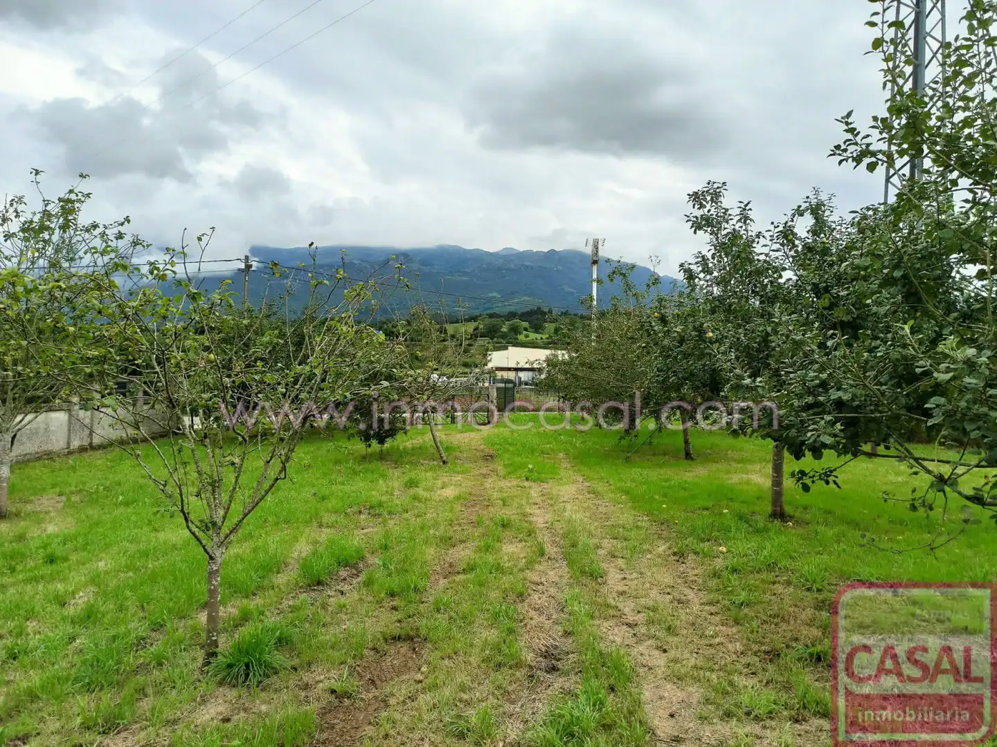 Terreny residencial en venda a Colunga, imagen 4