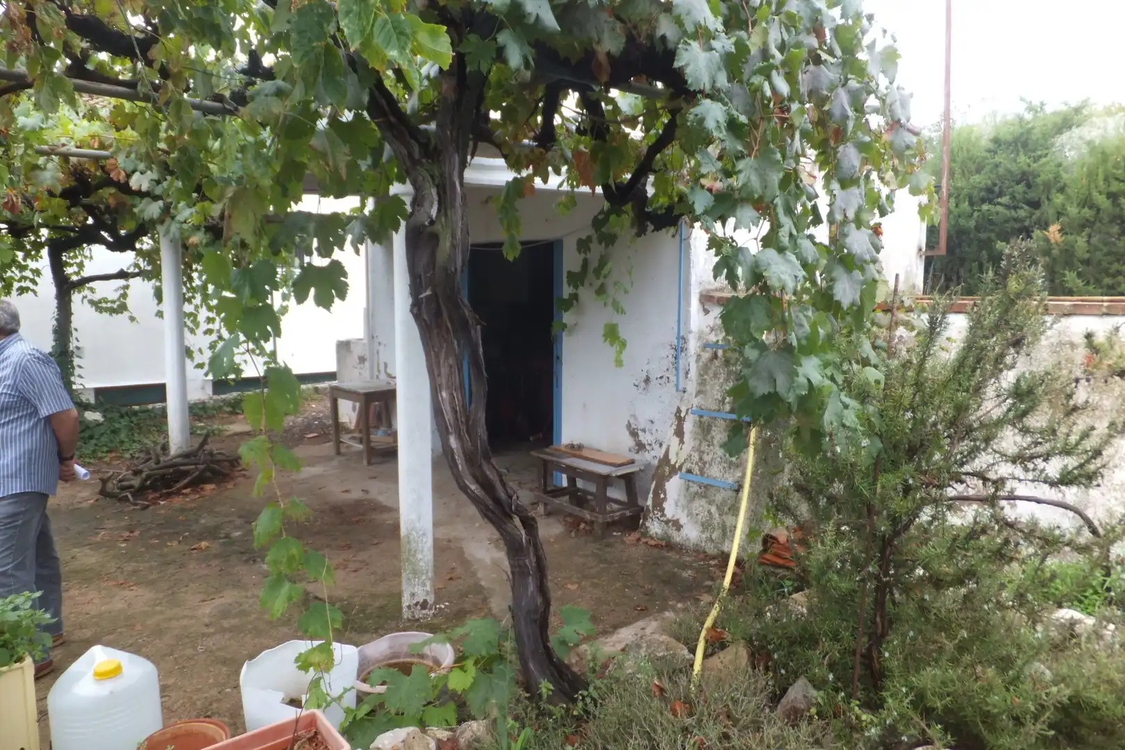 Terreno rústico en venta en Riudoms, imagen 26