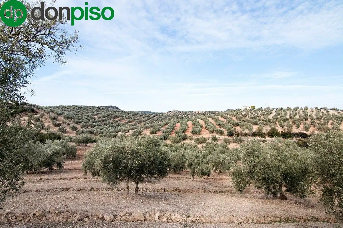 Casa rústica en venda a CORTIJO LA BARRAGANA, imagen 23