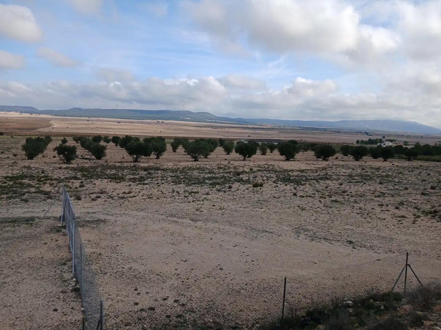 Residential land for sale in Yecla, imagen 35
