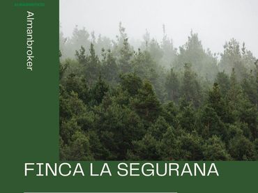 Rustikales Grundstück zum Verkauf in Almansa