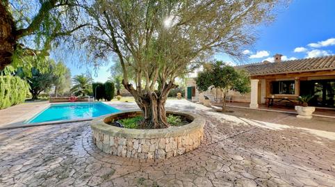 Foto 4 de Finca rústica de alquiler en  Es Revellar