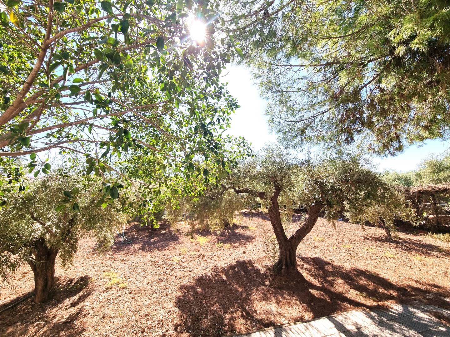 House or chalet for sale in San Vicente del Raspeig / Sant Vicent del Raspeig  with Air Conditioner, Private garden and Terrace