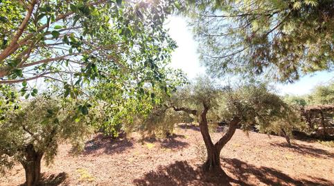 Foto 3 de Casa o xalet en venda a Vial Dels Holandesos, 25, Villamontes - Boqueres, Alicante