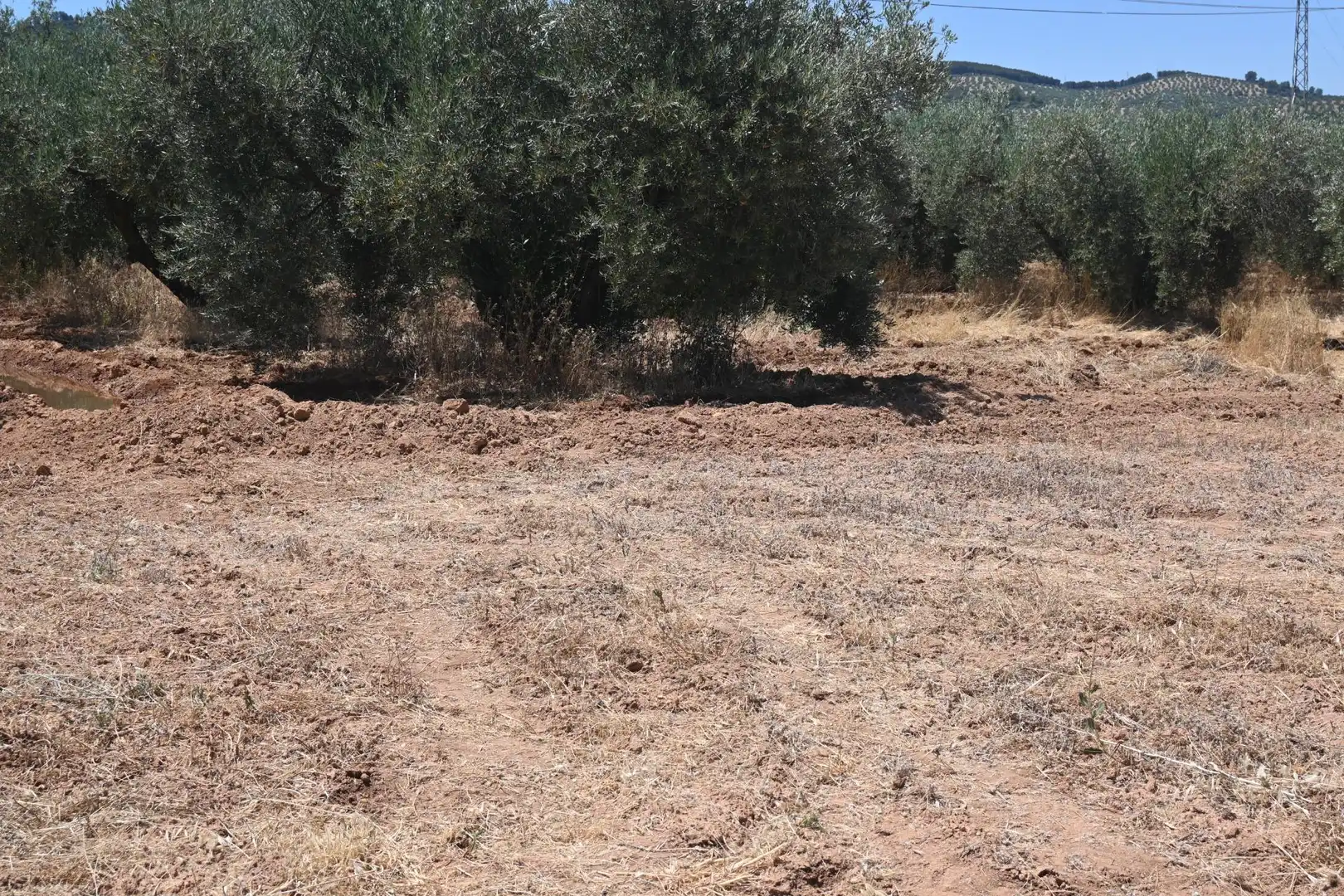 Terreni e lotti in vendita a Albolote, imagen 6