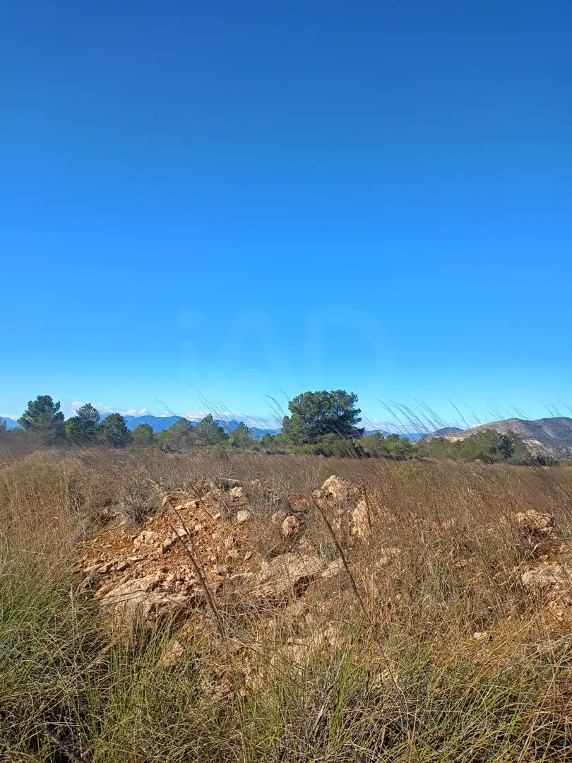 Grundstücke zum Verkauf in Lorca