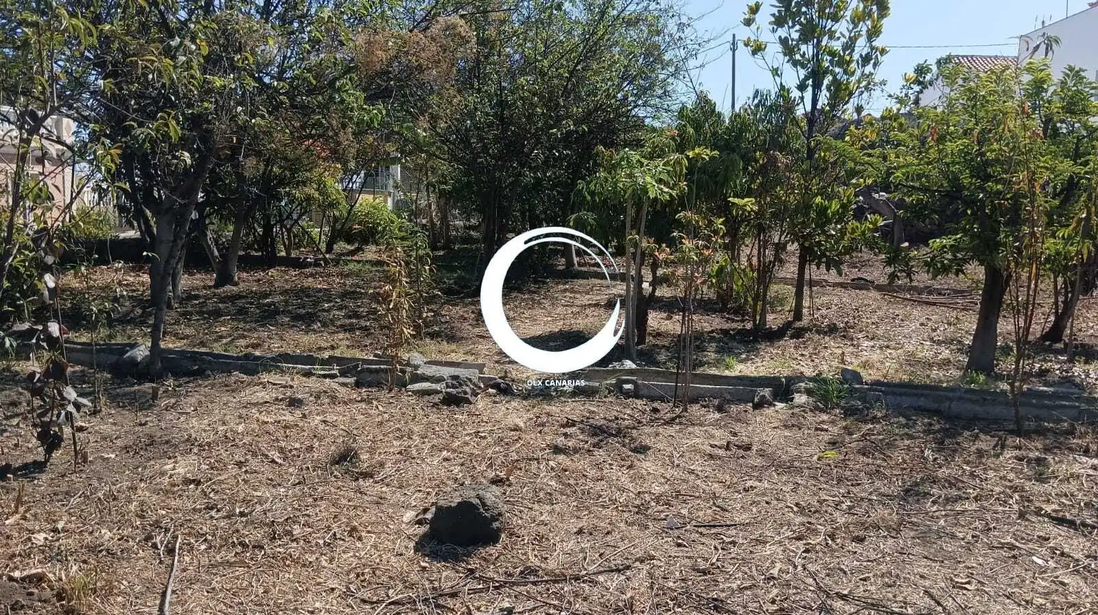 Rural land for sale in Camino la Cueva del Rey, imagen 21