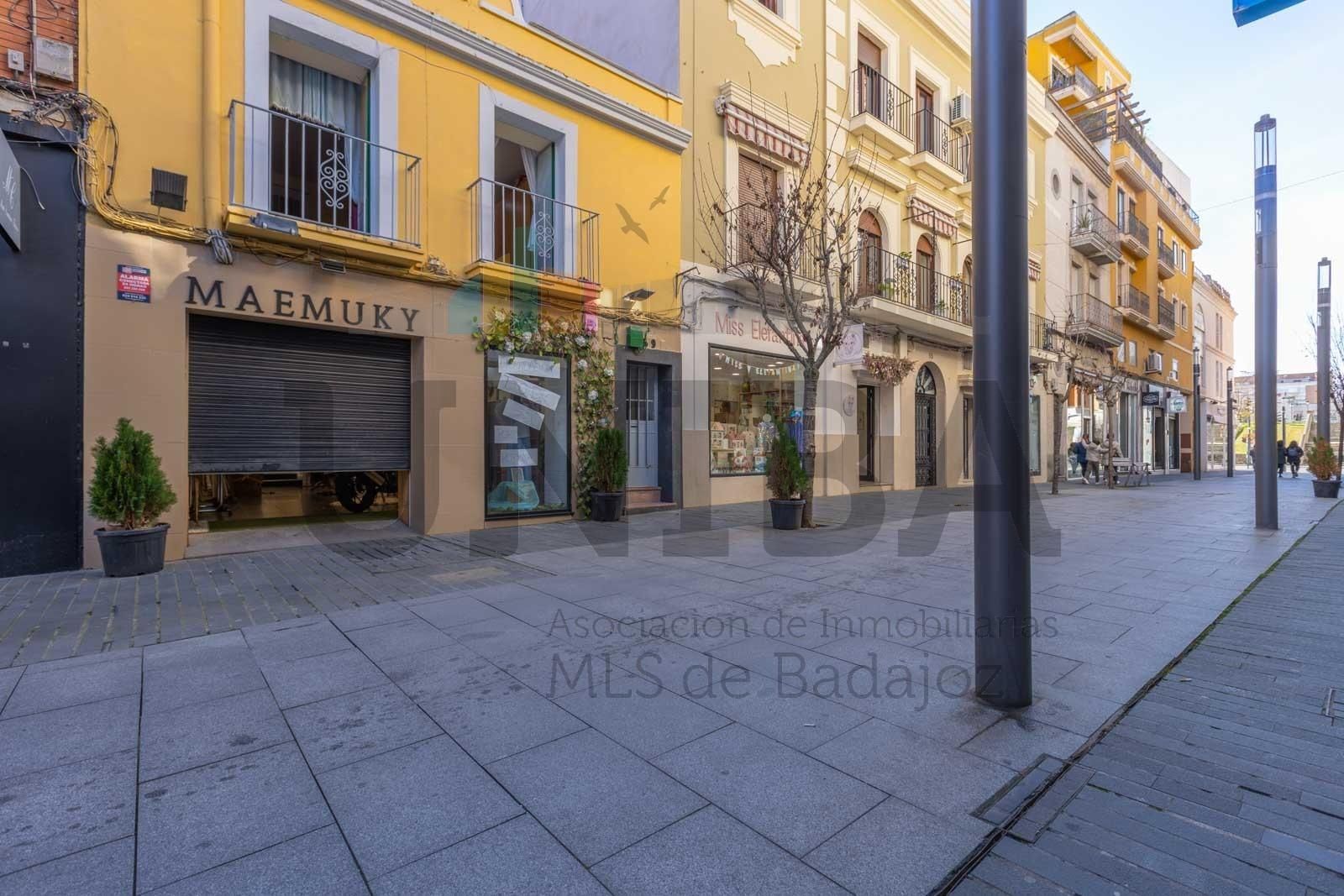 Flat for sale in Casco Antiguo