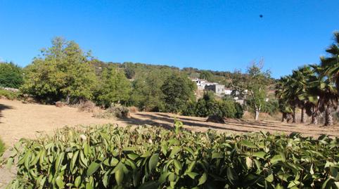 Foto 3 de Finca rústica en venda a Ma-7403, 4, Partidas Norte, Ronda