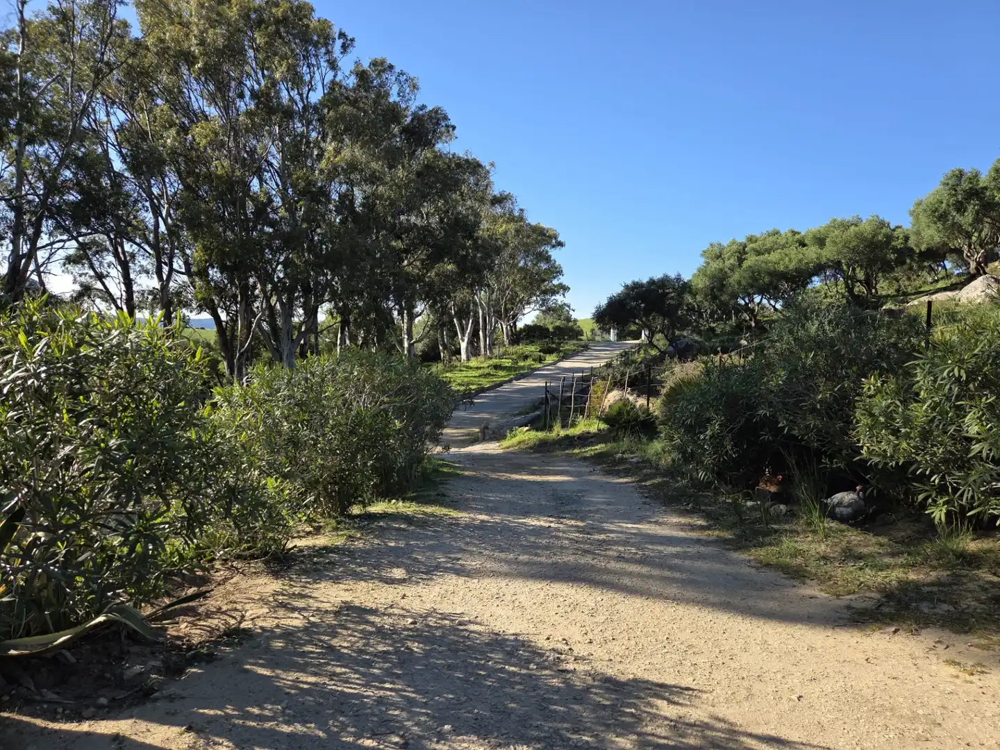 Exterior view of Country homes for sale in Tarifa ciudad