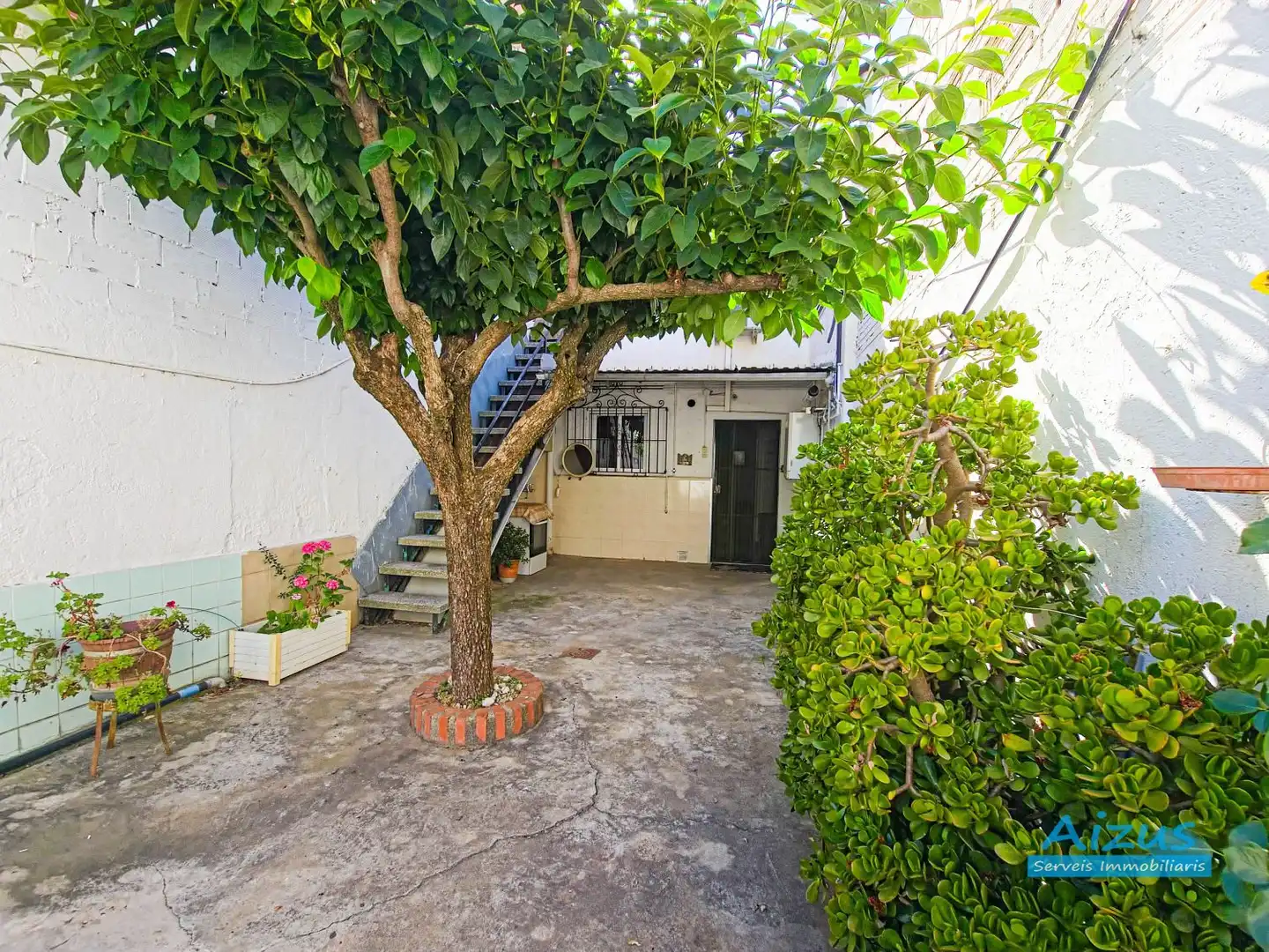 Jardí de Casa o xalet en venda en Ripollet amb Aire condicionat i Calefacció
