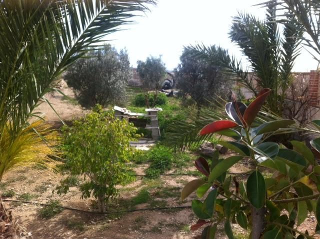 Garden of Country house for sale in Níjar  with Private garden and Storage room
