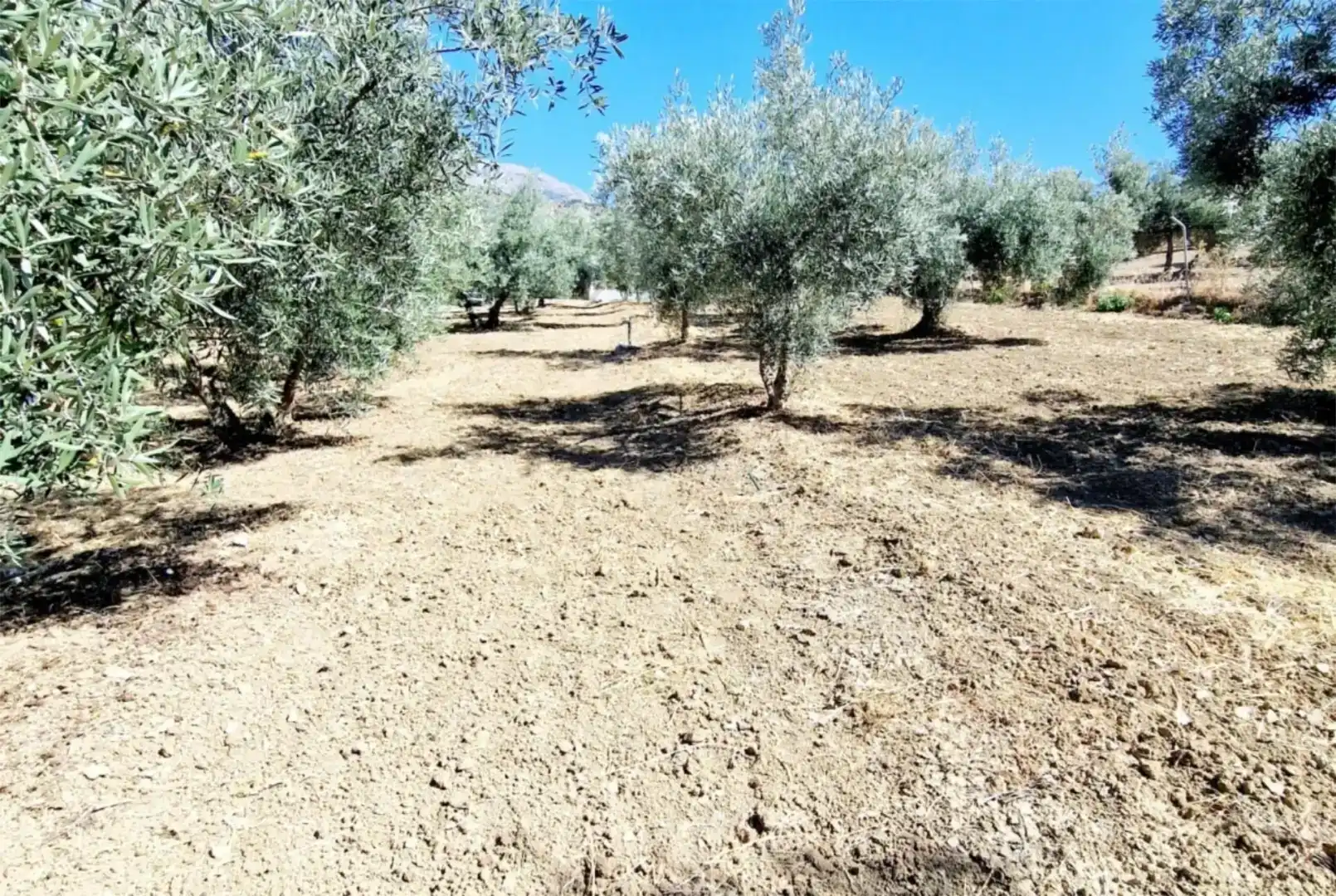 Casa o chalet de alquiler en Riogordo con Jardín privado