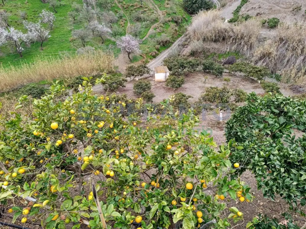 Finca rústica en venda en Vélez-Málaga amb Aire condicionat, Jardí privat i Traster