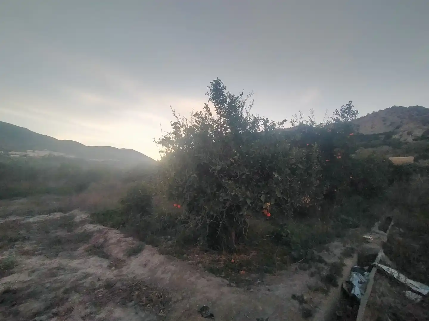 Residential land for sale in Instinción, imagen 9