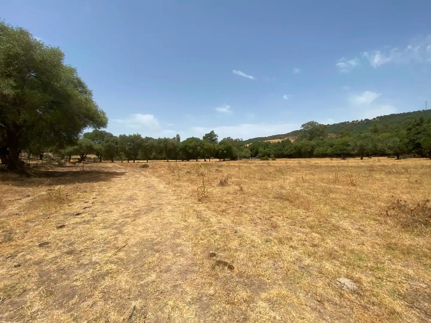 Terreni e lotti in vendita a Alcalá de los Gazules, imagen 76