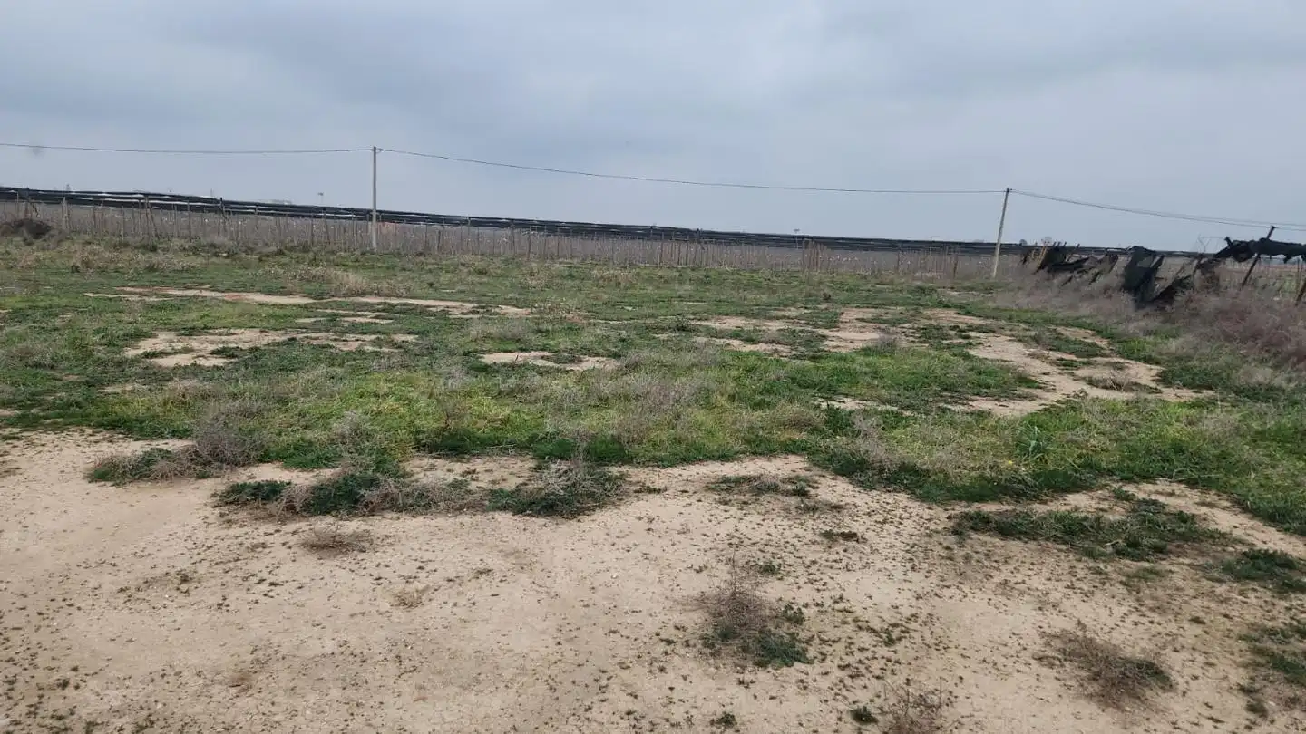 Terrenys i solars en venda a Camí de Corbins, imagen 4