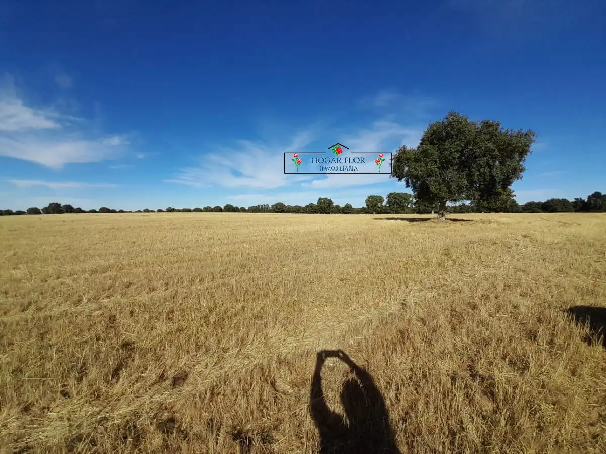 Finca rústica en venta en Carrascal del Obispo