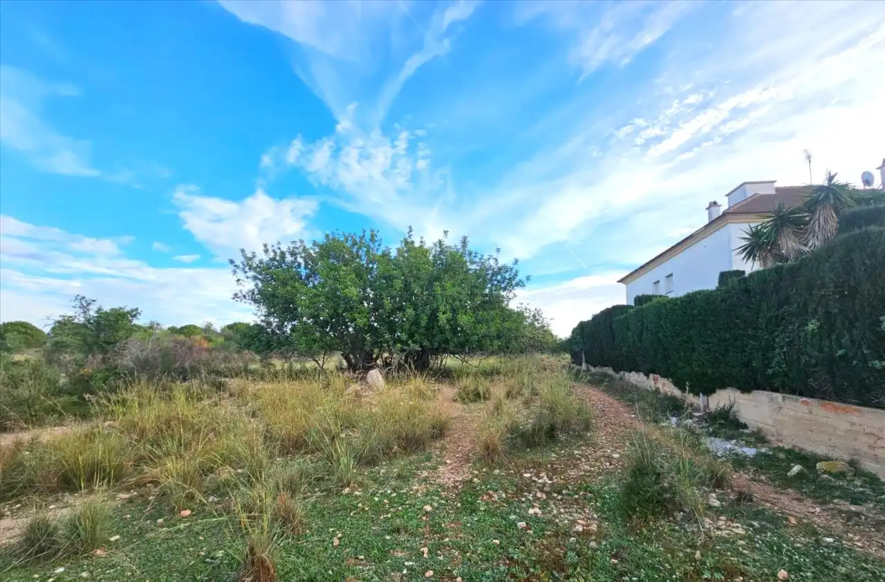 Residential land for sale in Proc. Simplificado, imagen 6