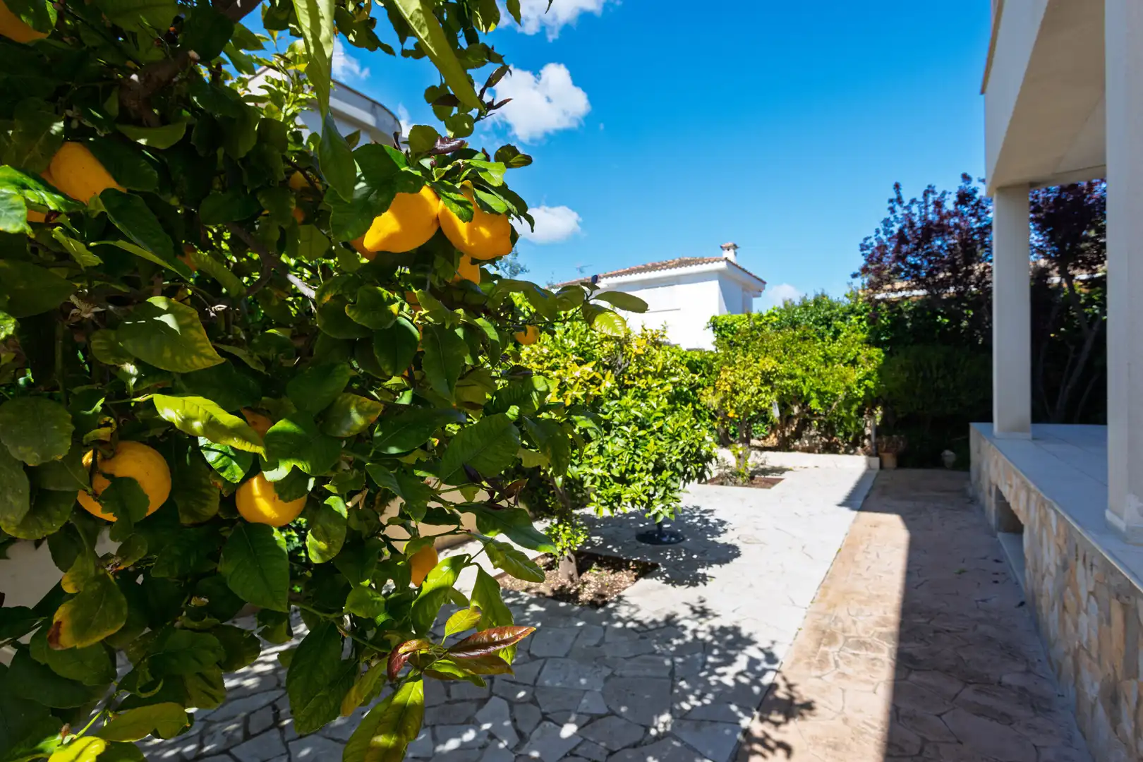 Jardí de Casa o xalet en venda en Marratxí amb Aire condicionat, Jardí privat i Terrassa