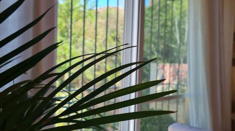 Foto 4 de Apartament de lloguer a Calle Duquesa de Talavera, Centro, Sevilla