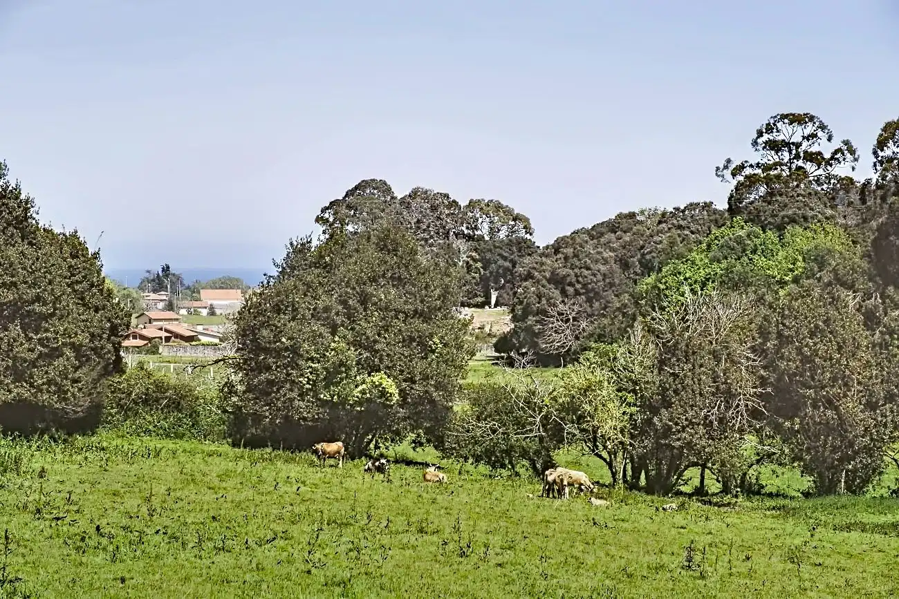 Finca rústica en venda en Llanes amb Aire condicionat i Calefacció