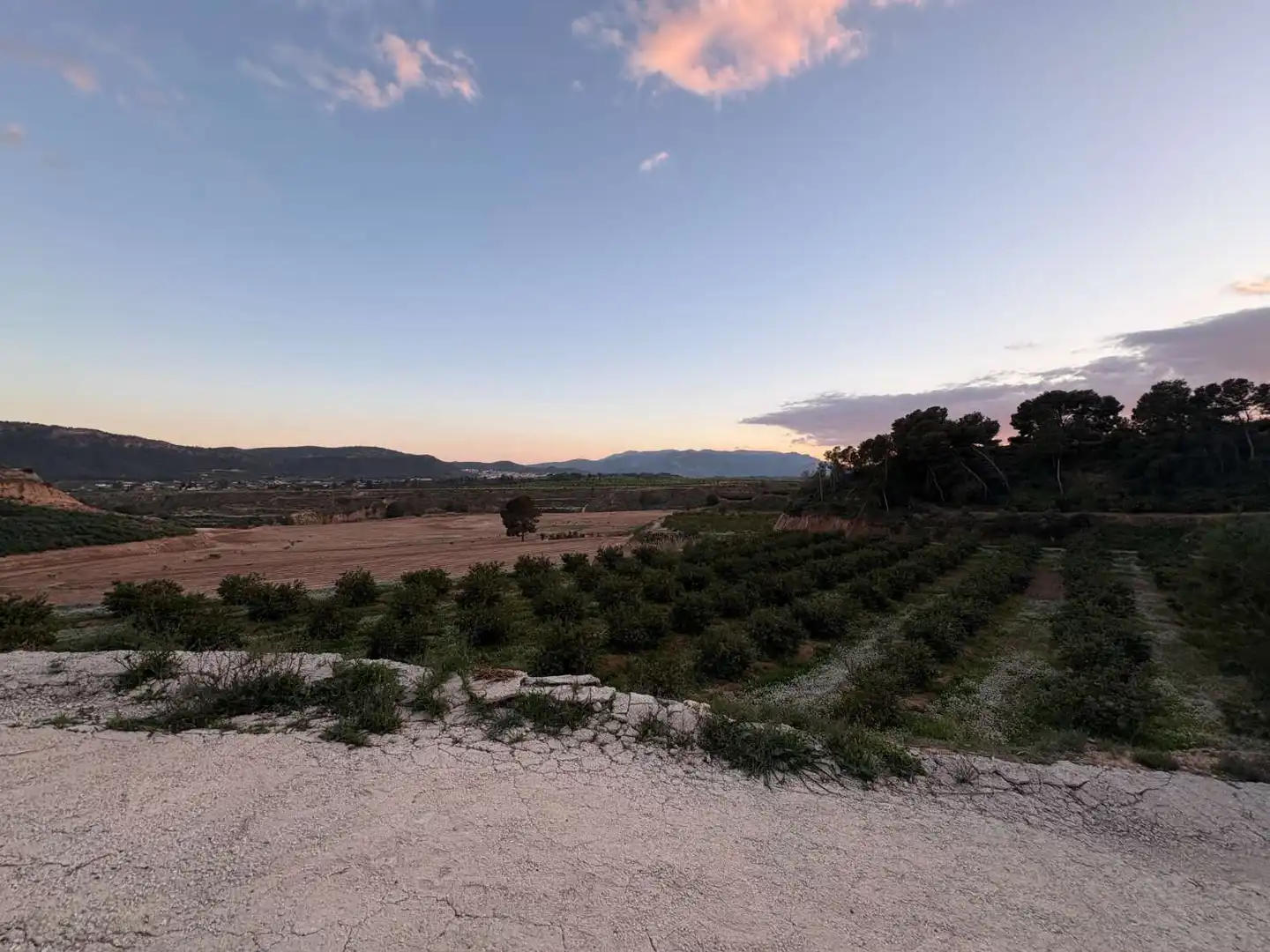 Lands and plots for sale in Mula, imagen 4