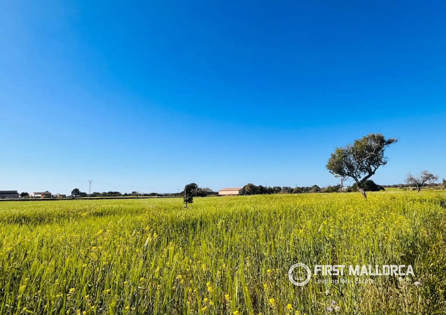 Terreno en venta en Felanitx