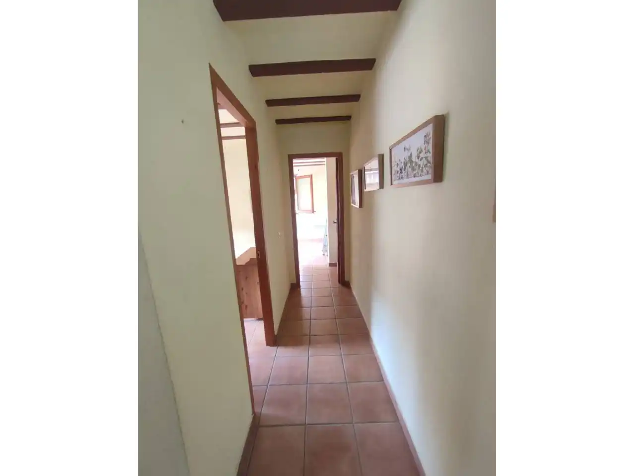 Haus oder Chalet zur Miete in Sant Sadurní d'Anoia