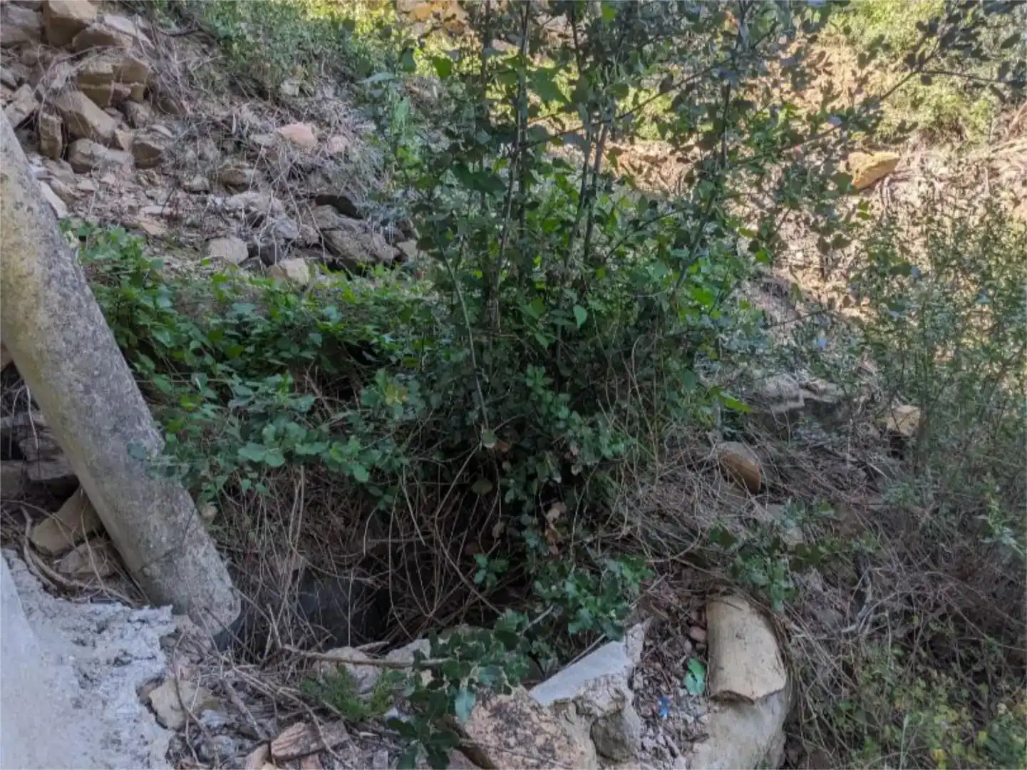 Finca rústica en venda en Sant Mateu de Bages amb Balcó
